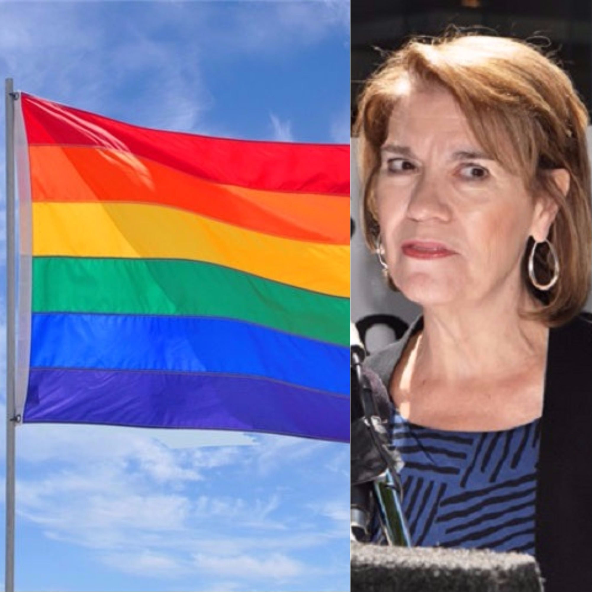 Linda Harvey quer proibir LGBTs de usar arco-íris como símbolo