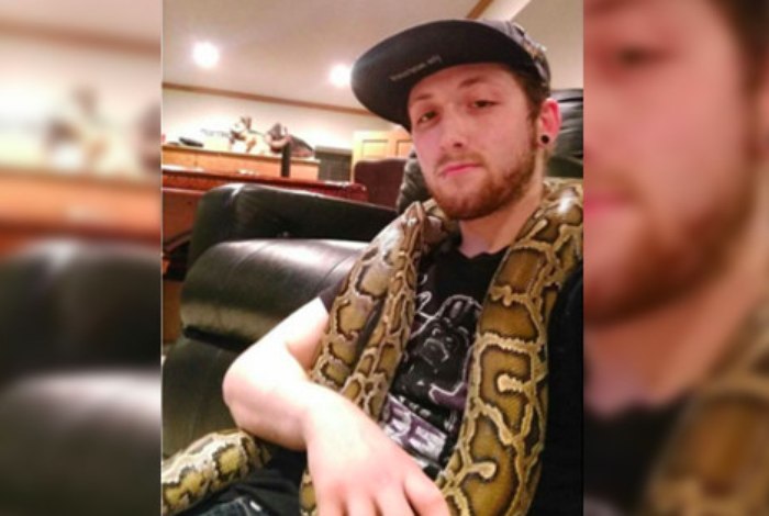 David Brown, 22 anos, morreu ao tentar penetrar anaconda de estimação