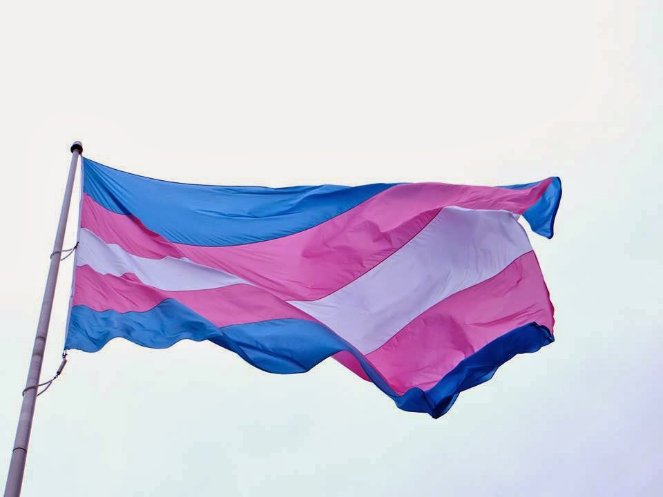 Travestis e Transexuais