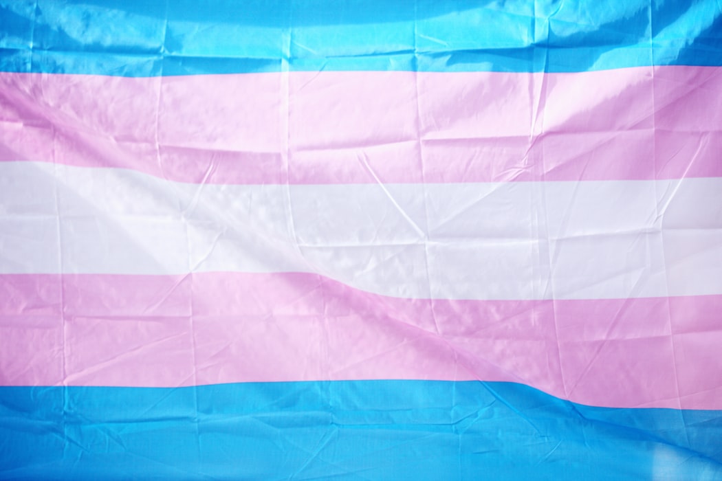 Bandeira do Orgulho Trans. (Foto: Unsplash)