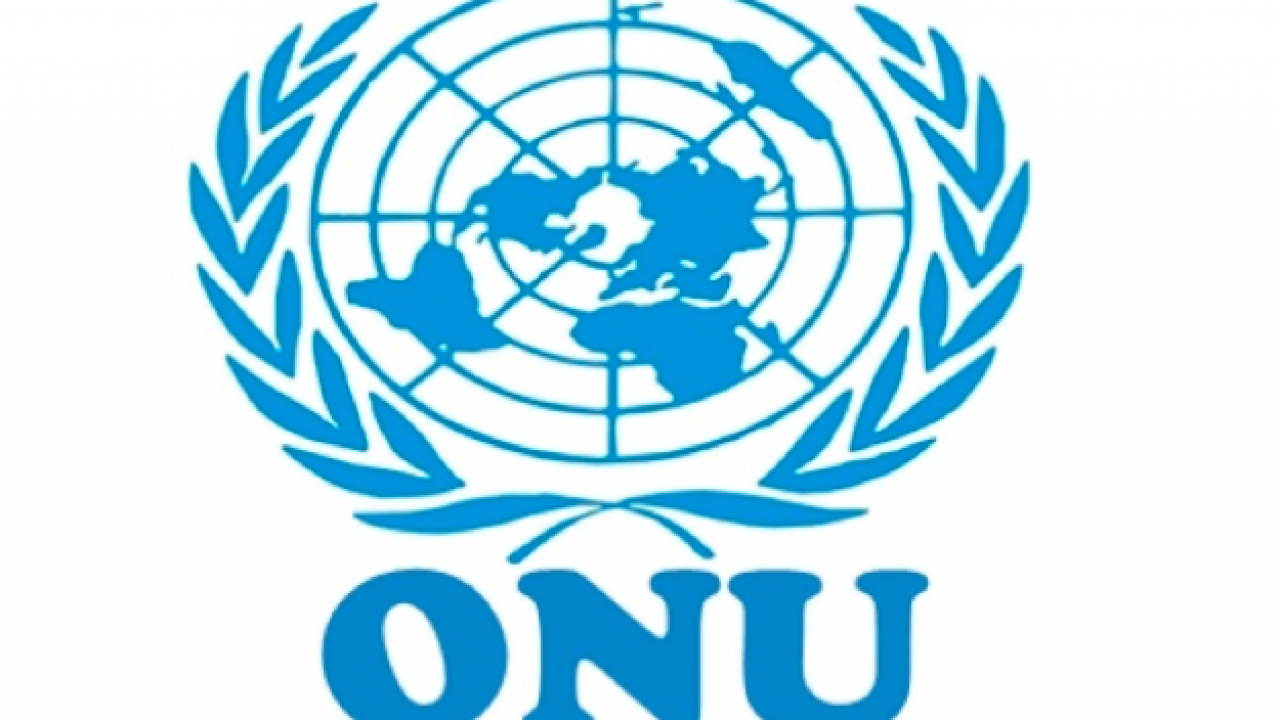 Logo oficial ONU-Foto/Reprodução