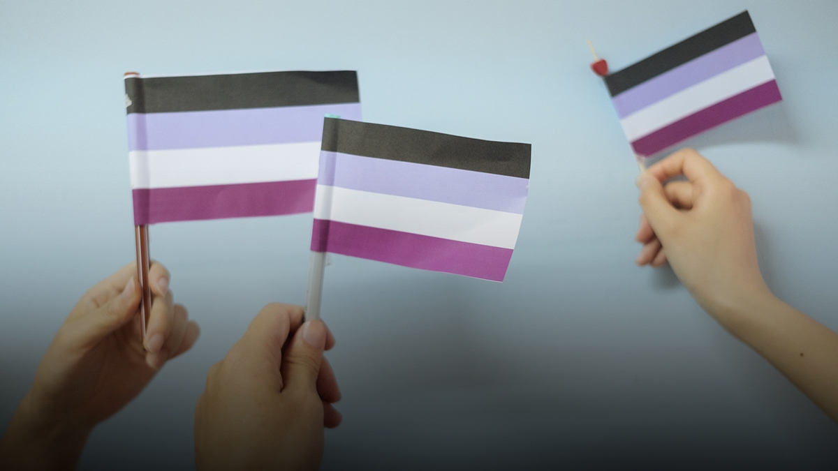 Bandeira dos assexuais (Foto Ilustrativa)