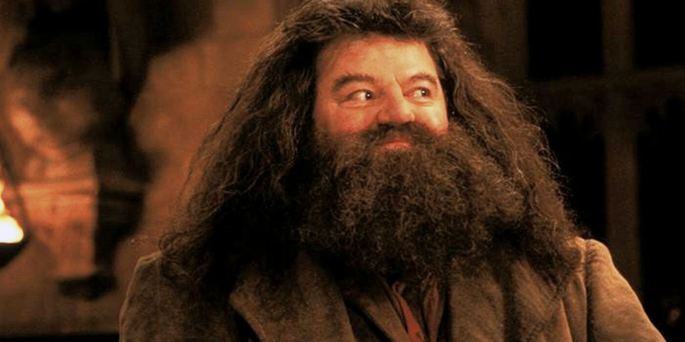 Hagrid de 'Harry Potter',