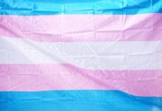 Bandeira do Orgulho Trans.