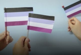 Bandeira dos assexuais (Foto Ilustrativa)