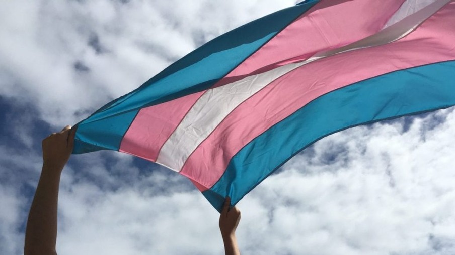 bandeira trans
