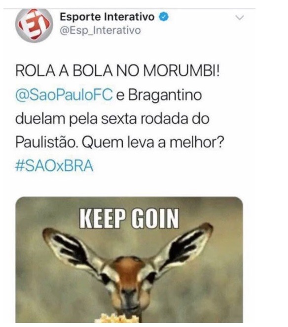 Meme homofóbico veado São Paulo
