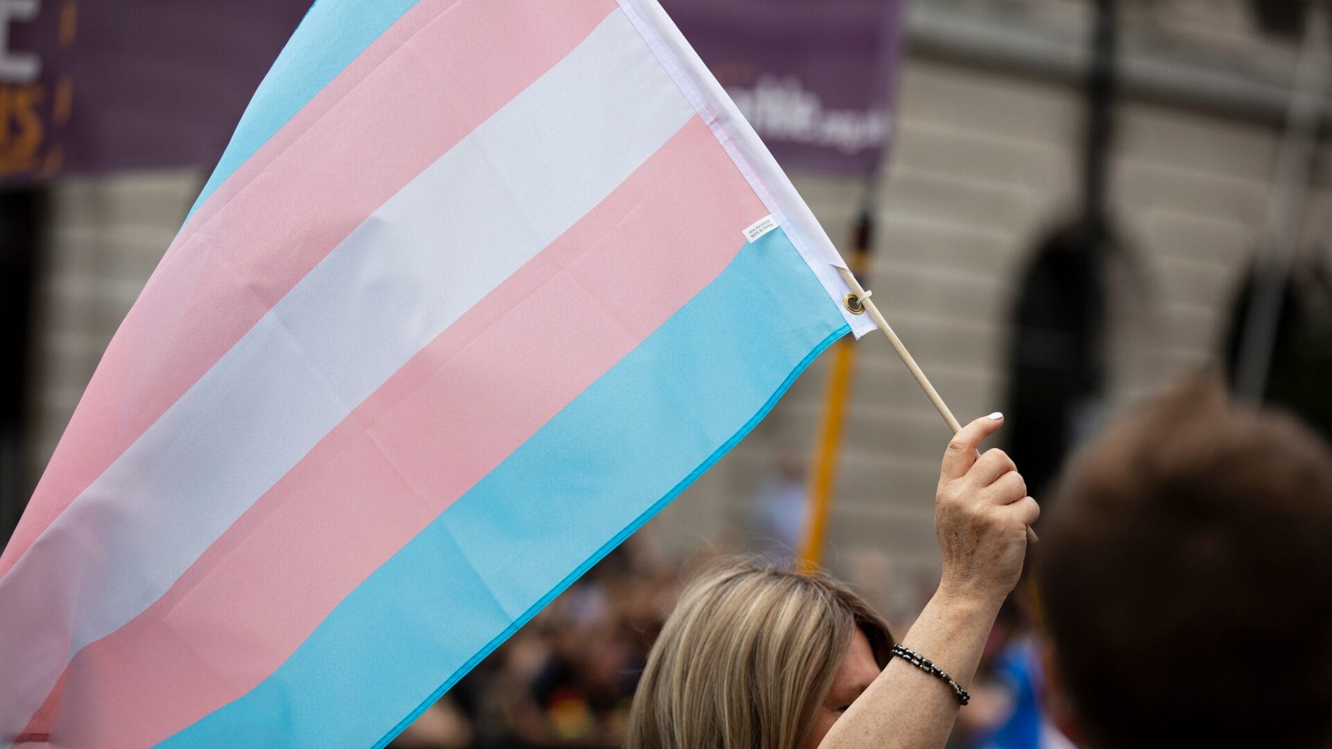 Bandeira trans